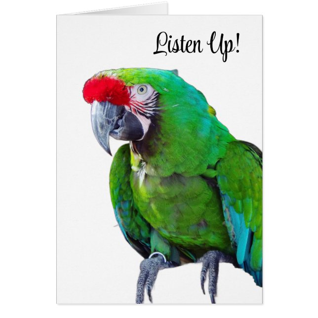 Listen Up Greeting Card (Front)