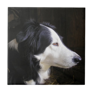 Listening Ceramic Tile