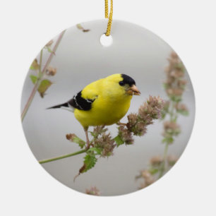 Listening Goldfinch Ceramic Ornament