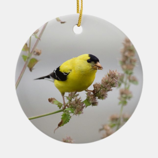 Listening Goldfinch Ceramic Ornament (Front)