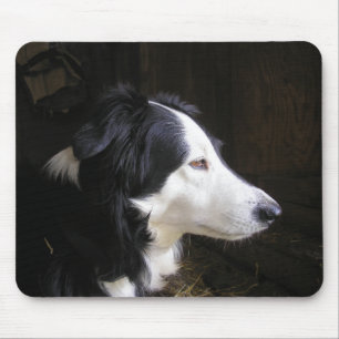 Listening Mouse Pad