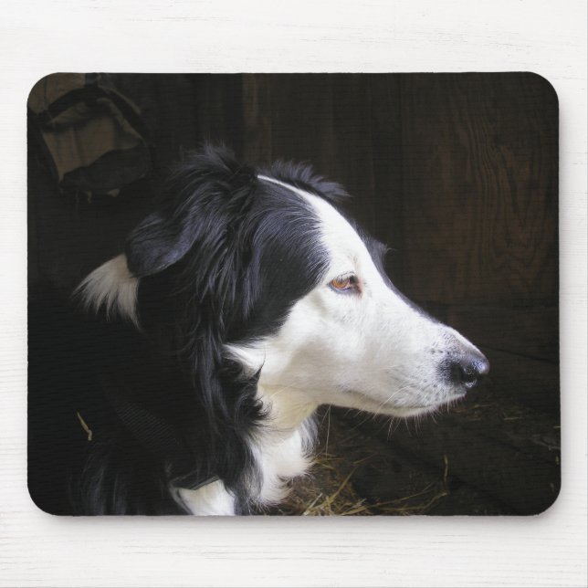 Listening Mouse Pad (Front)