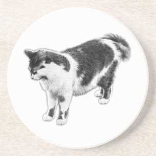 Listening Without Looking Coaster