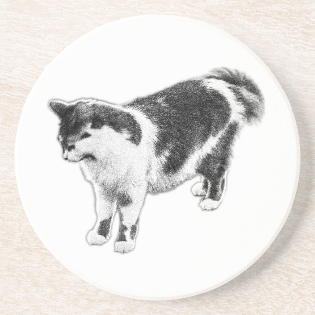 Listening Without Looking Coaster (Front)
