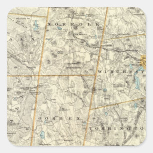Litchfield Co N Square Sticker
