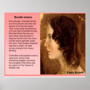 Literature, 19th century, Bronte sisters Poster