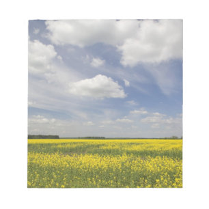 Lithuania, Central Lithuania, Joniskis, field of Notepad