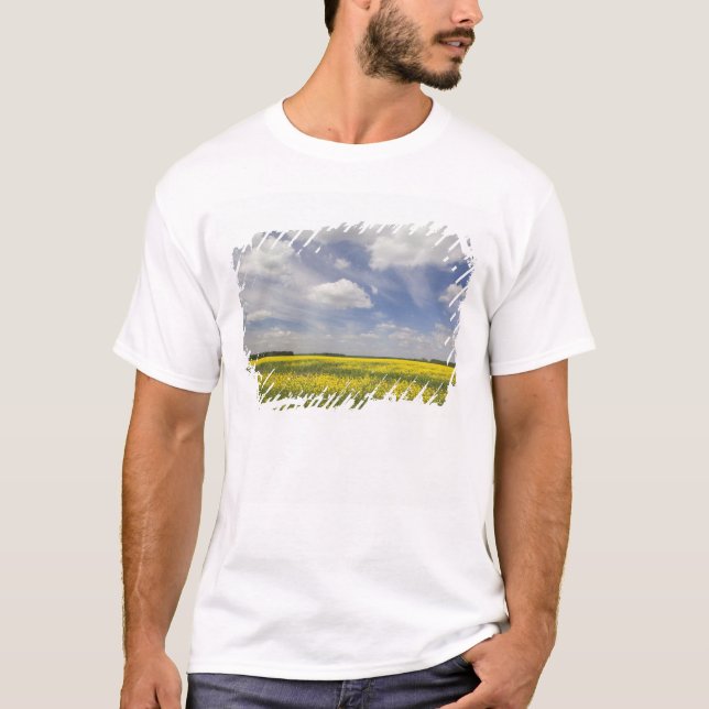 Lithuania, Central Lithuania, Joniskis, field of T-Shirt (Front)