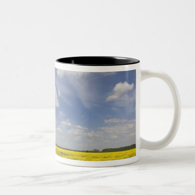 Lithuania, Central Lithuania, Joniskis, field of Two-Tone Coffee Mug (Right)