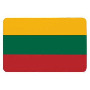 Lithuania Flag Magnet