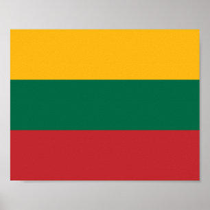Lithuania Flag Poster
