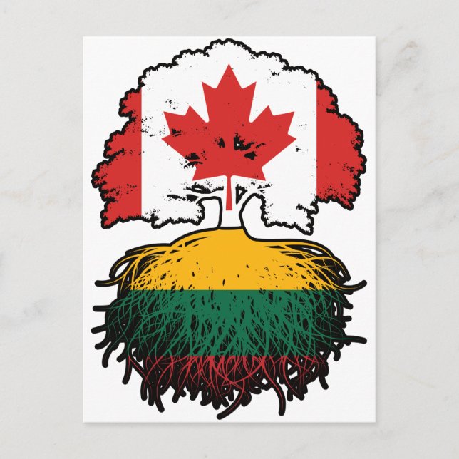 Lithuania Lithuanian Canadian Canada Tree Roots Postcard (Front)
