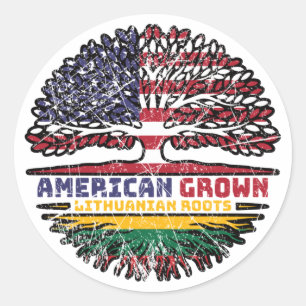Lithuania Lithuanian US American USA United States Classic Round Sticker