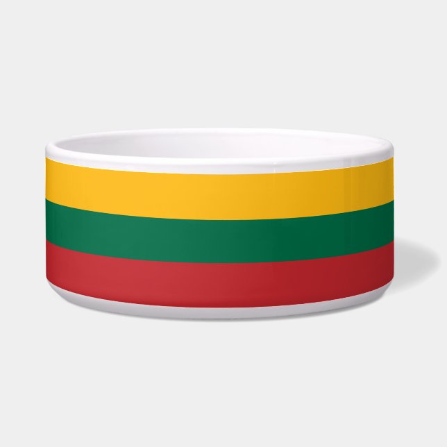 Lithuanian Flag (Front)