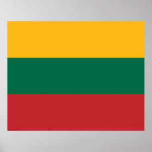 Lithuanian Flag Poster