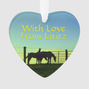 Lititz Ornament! Farm Life! Come Back Soon on Back Ornament