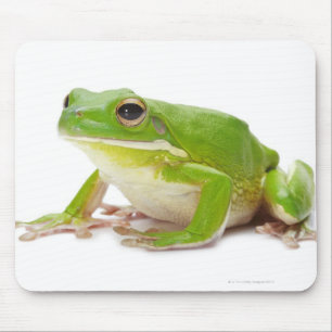 Litora Infrafrenata, Frog Mouse Pad