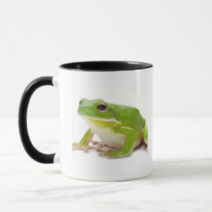 Litora Infrafrenata, Frog Mug