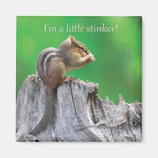 Litte Stinker Magnet