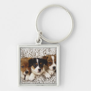 Litter of puppies key ring
