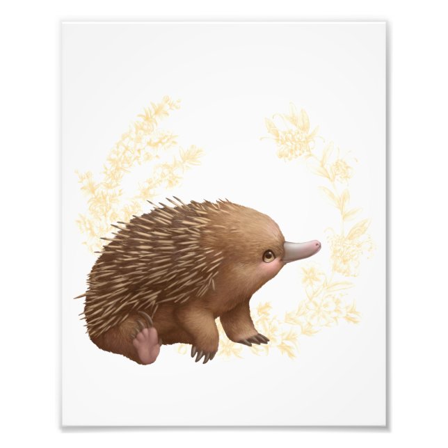 Little Aussie Friends - Echidna Photo Print (Front)