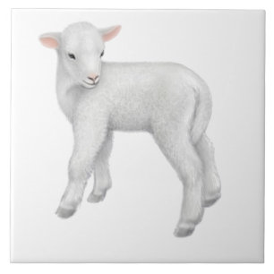 Little Baby Lamb Customisable Tile