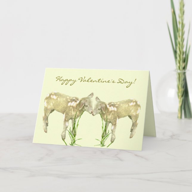Little Baby Lambs on Yellow Valentines Day  Card (Front)