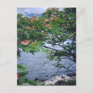 Little Bay Park, Queens, NY Postcard