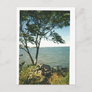 Little Bay Park scenery Postcard