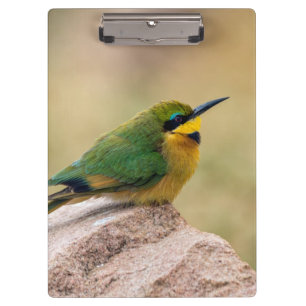 Little Bee-Eater Clipboard