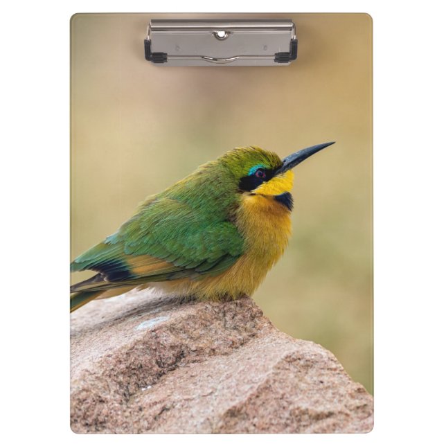 Little Bee-Eater Clipboard (Front)
