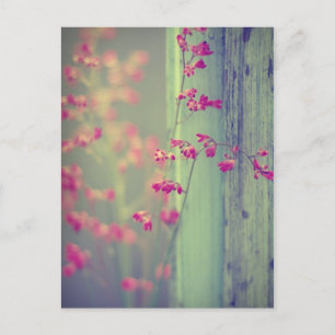 Little Bells Postcard