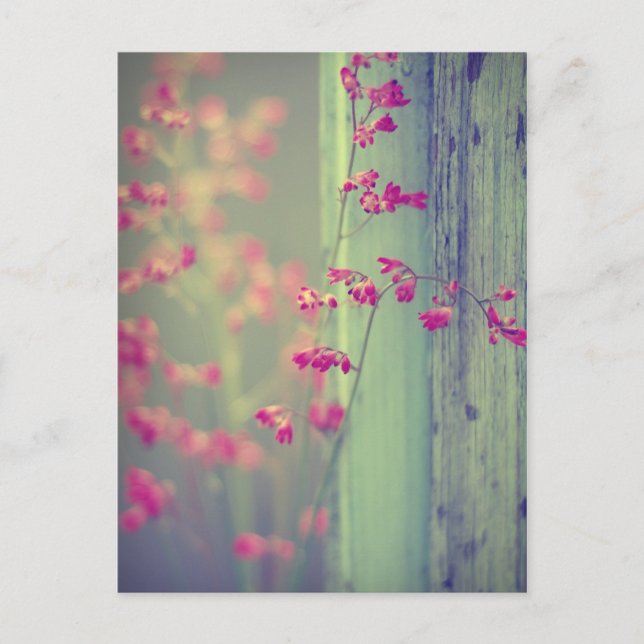 Little Bells Postcard (Front)