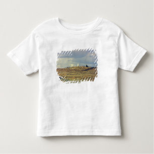 Little Bighorn Battlefield National Monument (phot Toddler T-Shirt