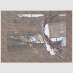 Little Bird Christmas Wishes Tissue Paper