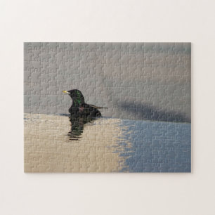 Little Bird Jigsaw Puzzle