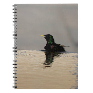 Little Bird on Water Spiral Photo Notebook