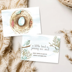 Little Bird Pregnancy Announcement