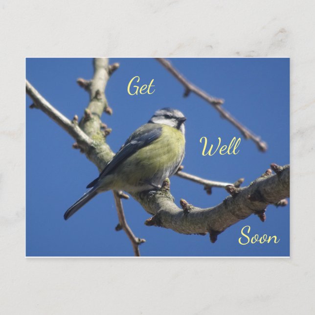 Little Bird with Blue Sky Get Well Soon Postcard (Front)
