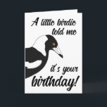 Little birdie birthday card<br><div class="desc">Cute hand drawn Australian magpie birthday card.</div>