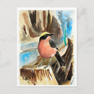 Little Birds #7 Postcard