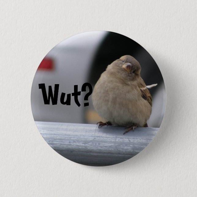 Little Birdy Button: "Wut?" 6 Cm Round Badge (Front)