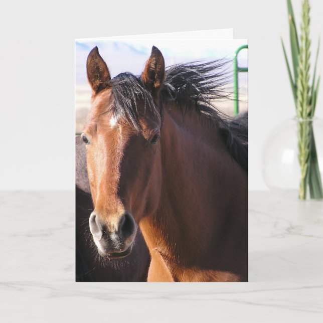 Little Bit Card (Front)