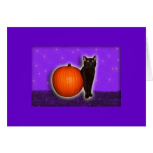 Little Black and Pumpkin