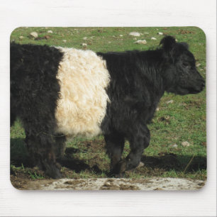 Little Black Beltie Calf Mouse Pad