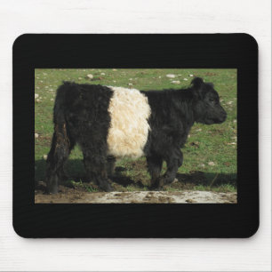 Little Black Beltie Calf Mouse Pad
