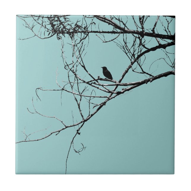Little Black Bird Tile (Front)