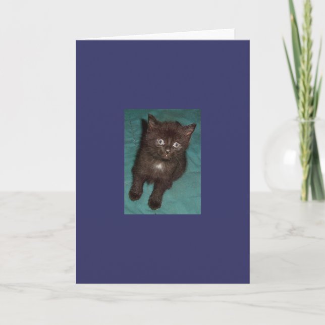 Little Black Kitten Card (Front)