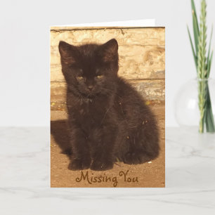 Little Black Kitten Missing You Card *Customisable