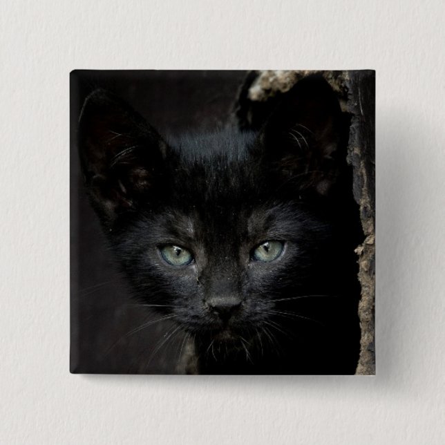 Little Black Kitty 15 Cm Square Badge (Front)